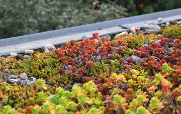 the cost of New Brighton green roof installation