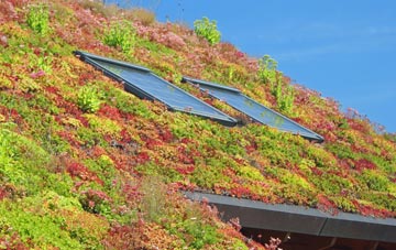 New Brighton living roof systems
