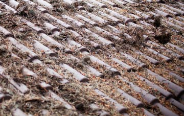 New Brighton roof cleaning companies